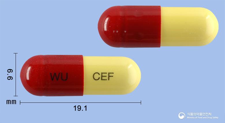 위더세프캡슐(세파드록실수화물)