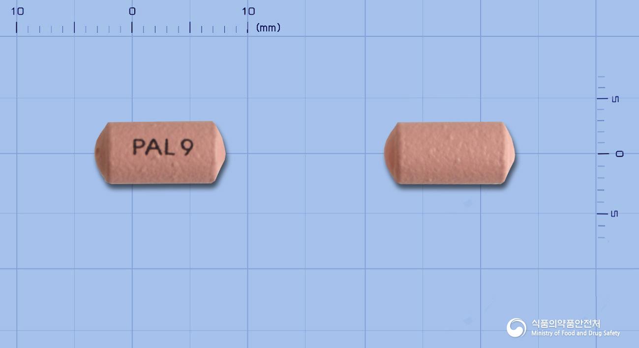 인베가서방정9밀리그램(팔리페리돈)
