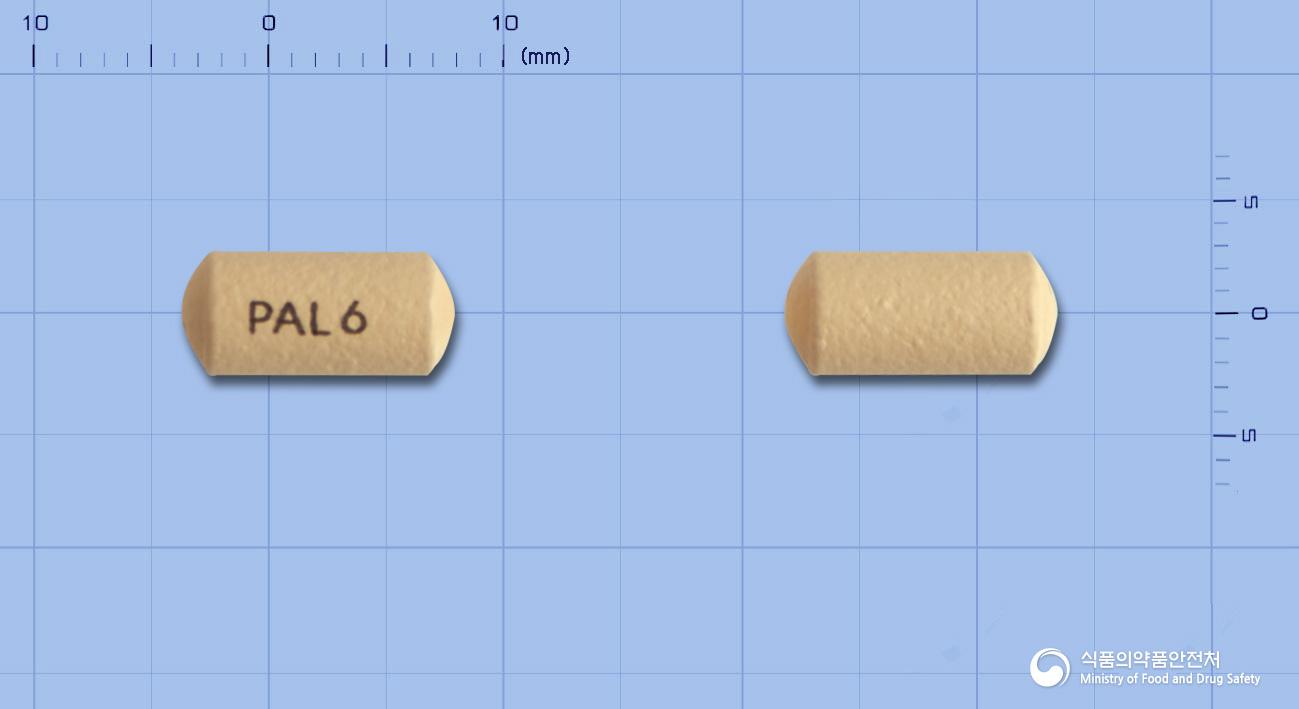 인베가서방정6밀리그램(팔리페리돈)