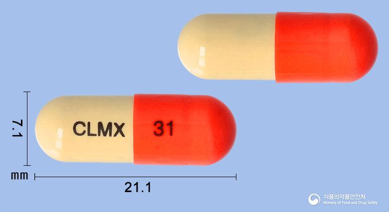일이관지은교산캡슐