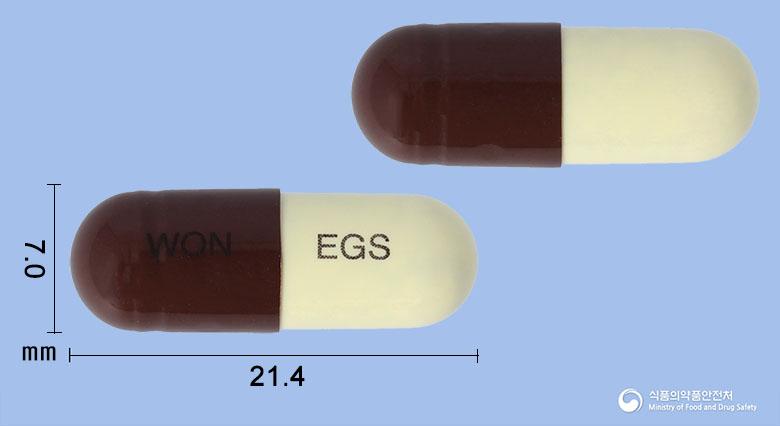 원광은교산캡슐