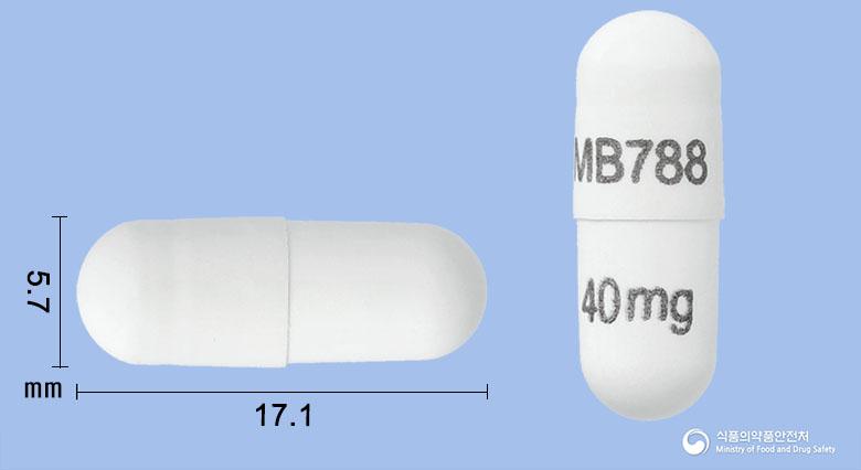 엑스키비티캡슐40밀리그램(모보서티닙숙신산염)