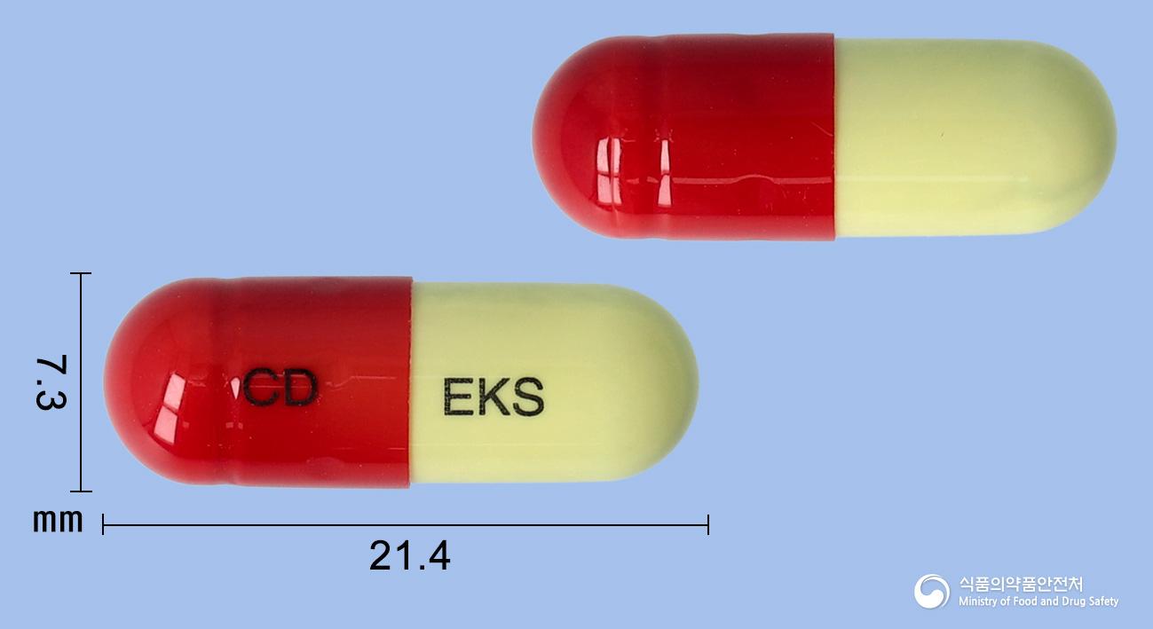 초당은교산캡슐
