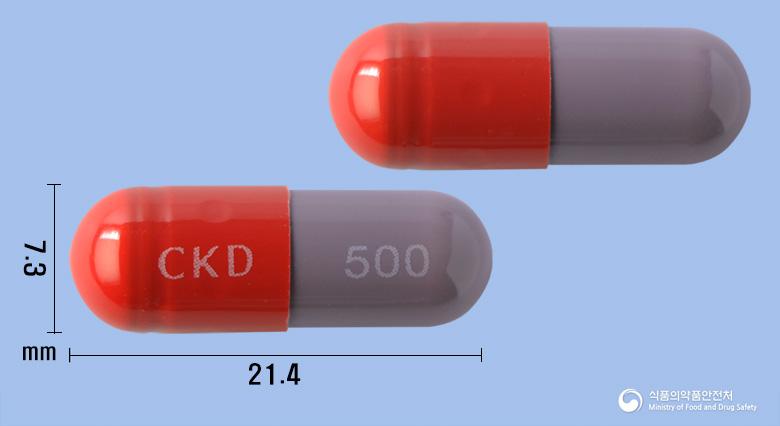 앰씰린캡슐500밀리그램(암피실린수화물)(수출명:앰씬캡슐500밀리그램)