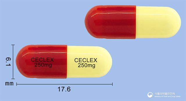 세클렉스캡슐250mg(세파클러수화물)