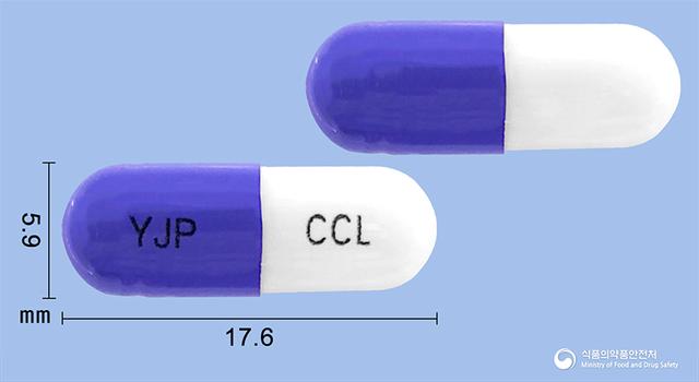 영진세파클러캡슐(수출명 : 세파클러캡슐250mg(사와이))