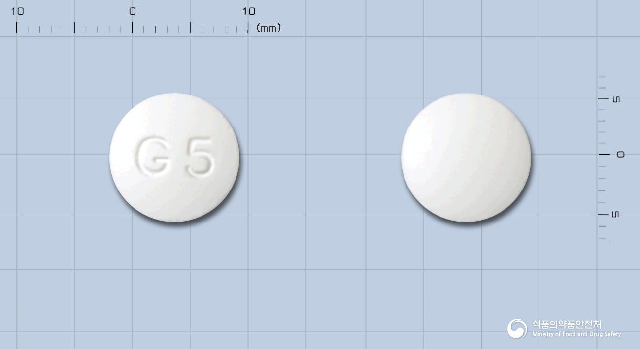 그리코민정(메트포르민염산염)