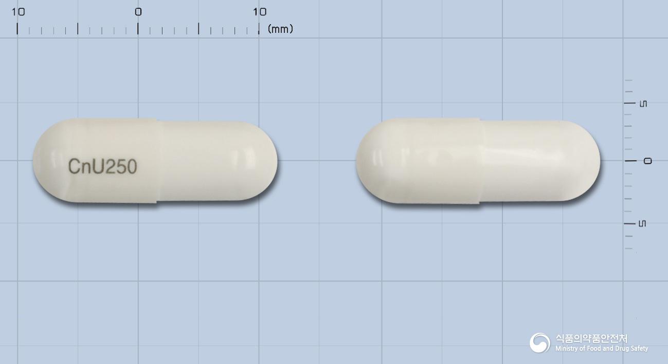 씨앤유캡슐(케노데옥시콜산-우르소데옥시콜산삼수화물마그네슘염)