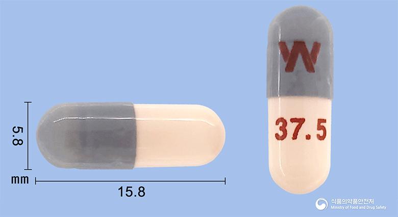 이팩사엑스알서방캡슐37.5밀리그램