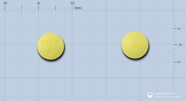 제포정8밀리그램(로녹시캄)