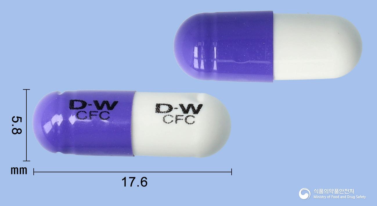 동화세파클러캡슐(세파클러수화물)