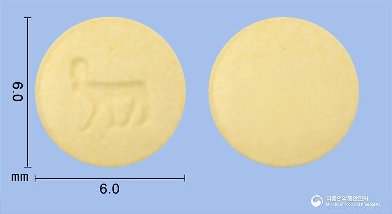 노보넘정1.0밀리그람(레파글리니드)