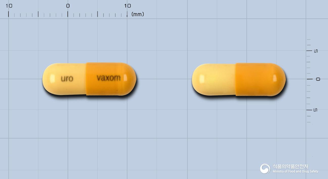 유로박솜캡슐(동결건조균체용해물(표준화))