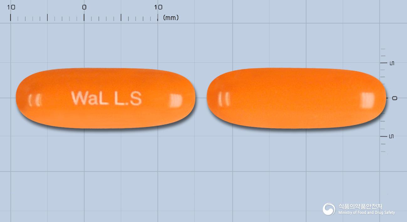 오스틴엘시스틴연질캡슐500밀리그램