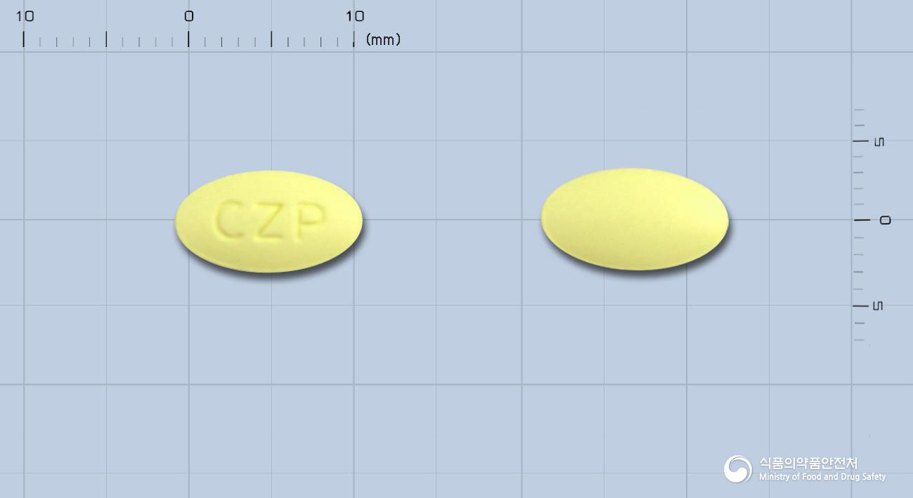 코자르탄플러스정