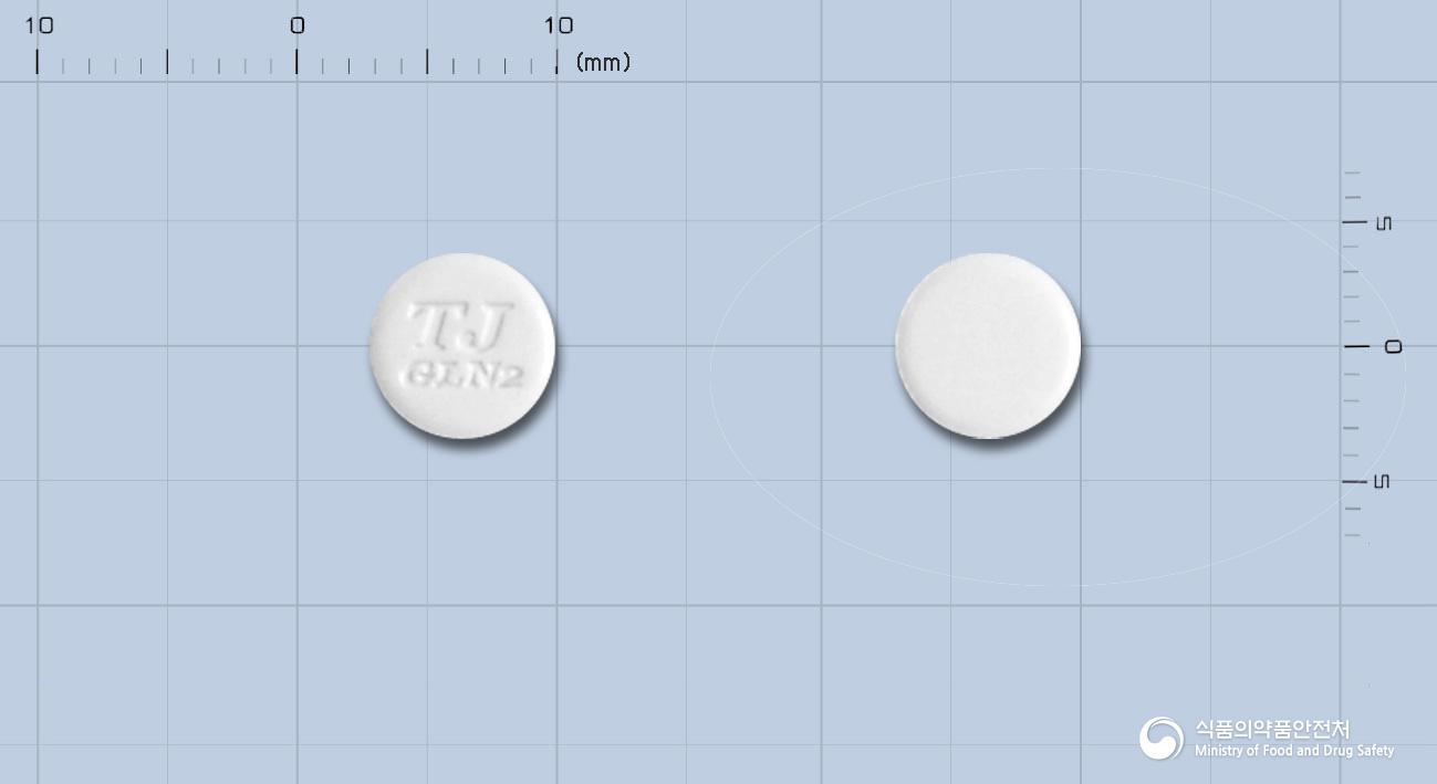 가스론엔정2mg(이르소글라딘말레산염)