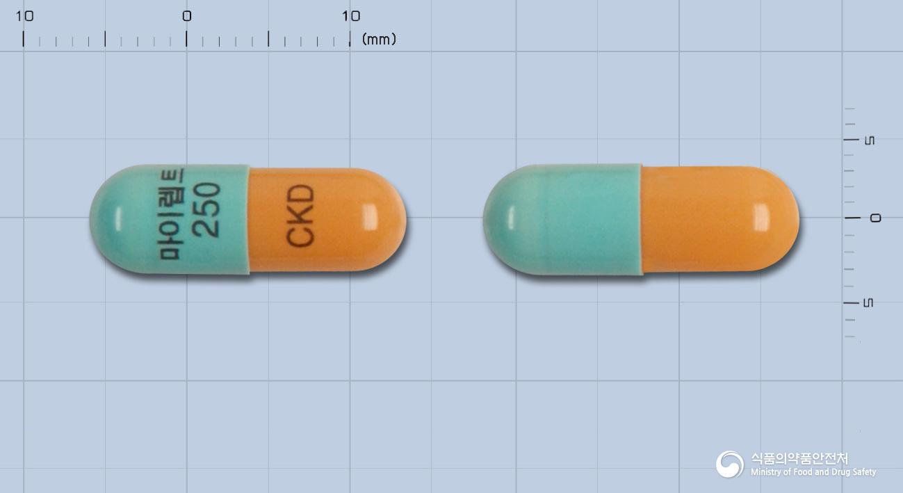 마이렙트캡슐250밀리그램(미코페놀레이트모페틸)