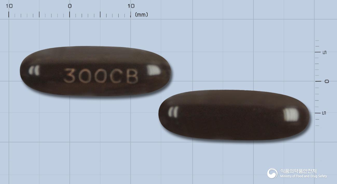 콘드로빅300연질캡슐