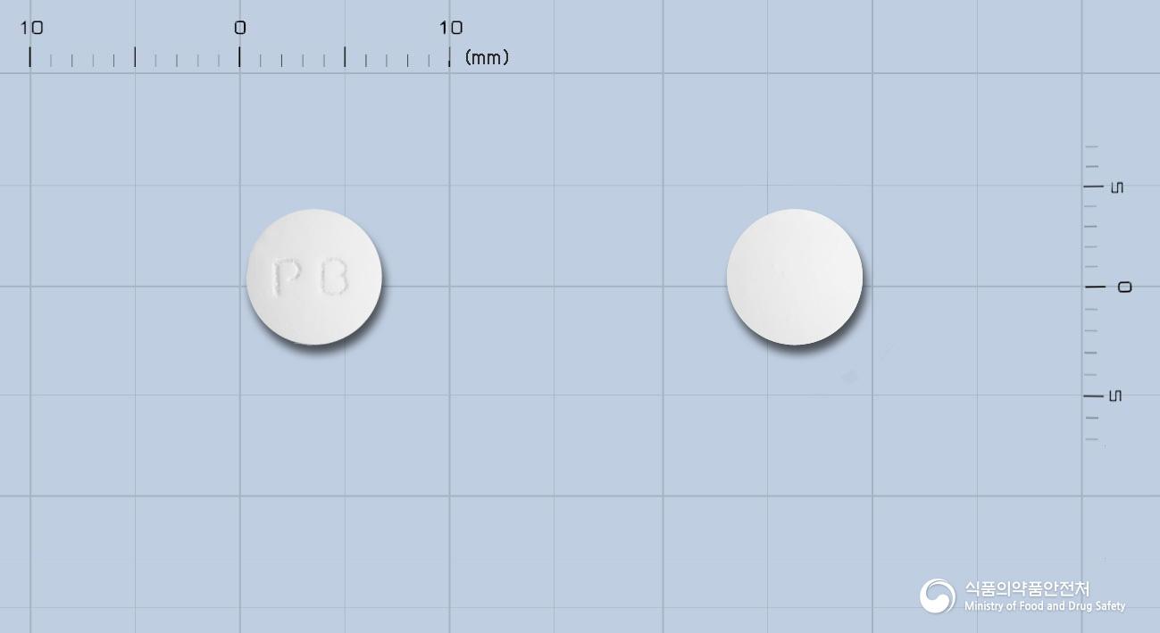 팜디알정(디메크로트산마그네슘)(수출용)