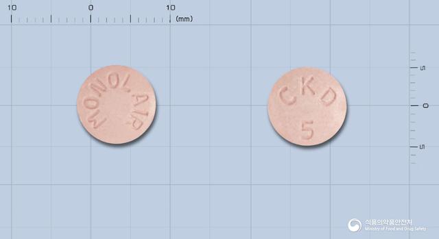 모놀레어츄정5밀리그램(몬테루카스트나트륨)