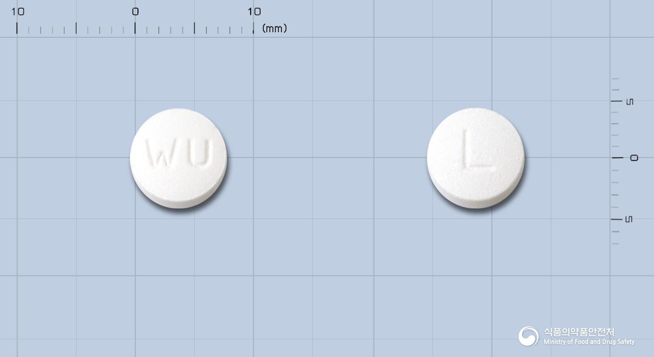 위더스레보플록사신정100밀리그램(레보플록사신수화물)