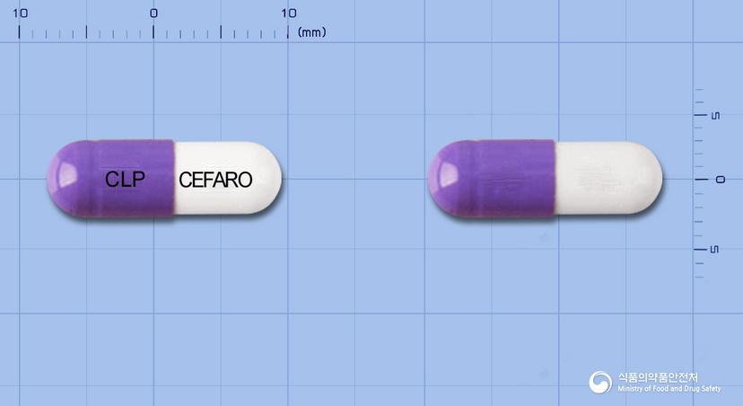 세파로캡슐(세파클러수화물)