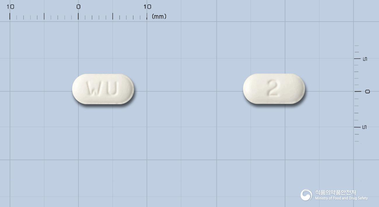 위더스독사조신메실산염정2밀리그램