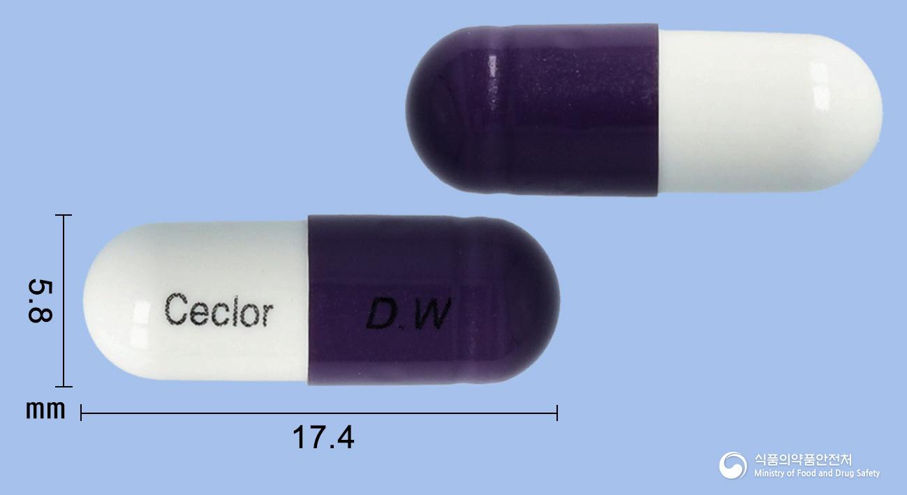 시클러캡슐250밀리그램(세파클러수화물)(수출명:BEARCLOR)