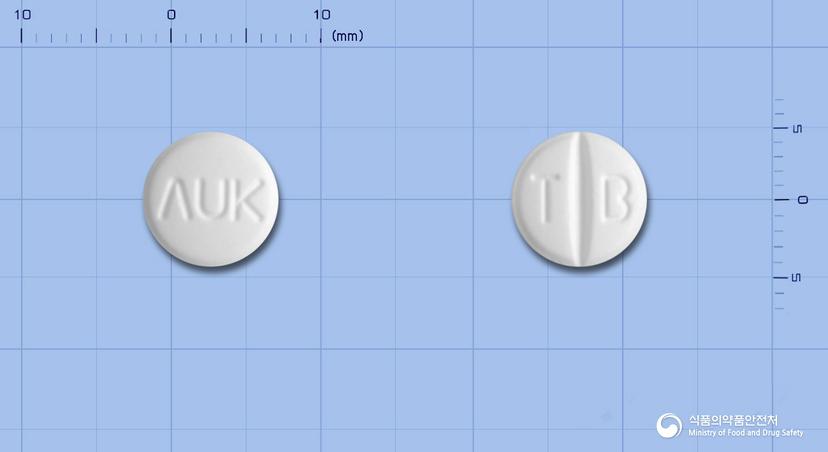 테비실정(테르비나핀염산염)