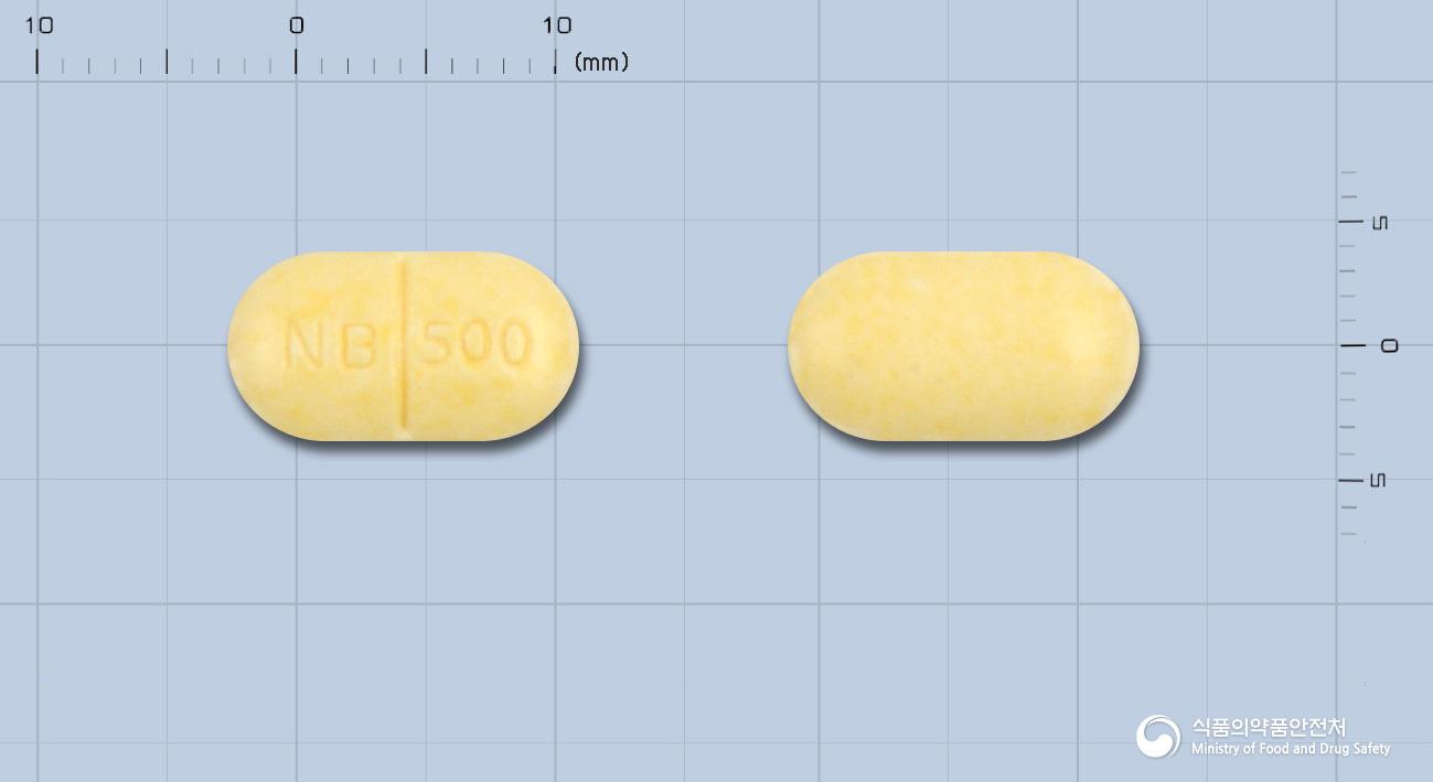 일양바이오나부메톤정