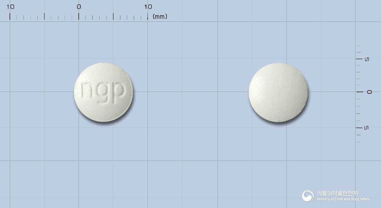 레프로스정(레보드로프로피진)