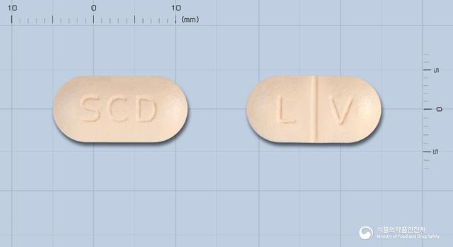 레보스타정500mg(레보플록사신)(수출용)