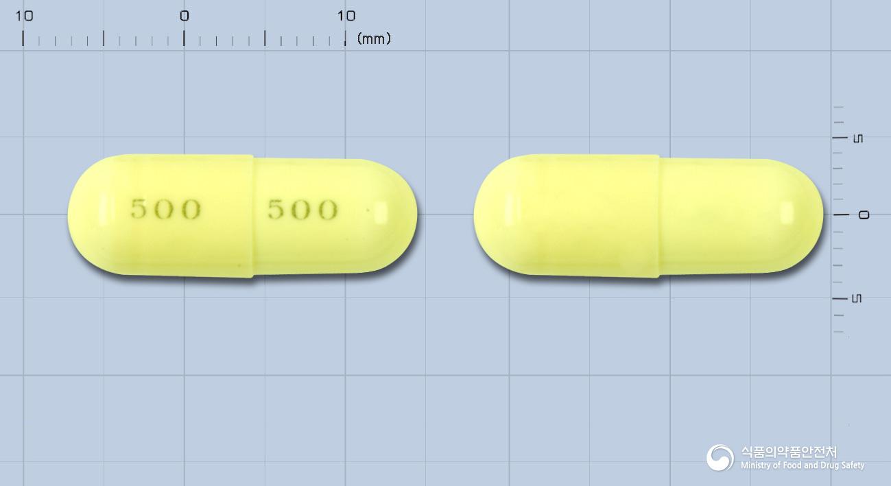 카멕스캡슐(세파드록실수화물)