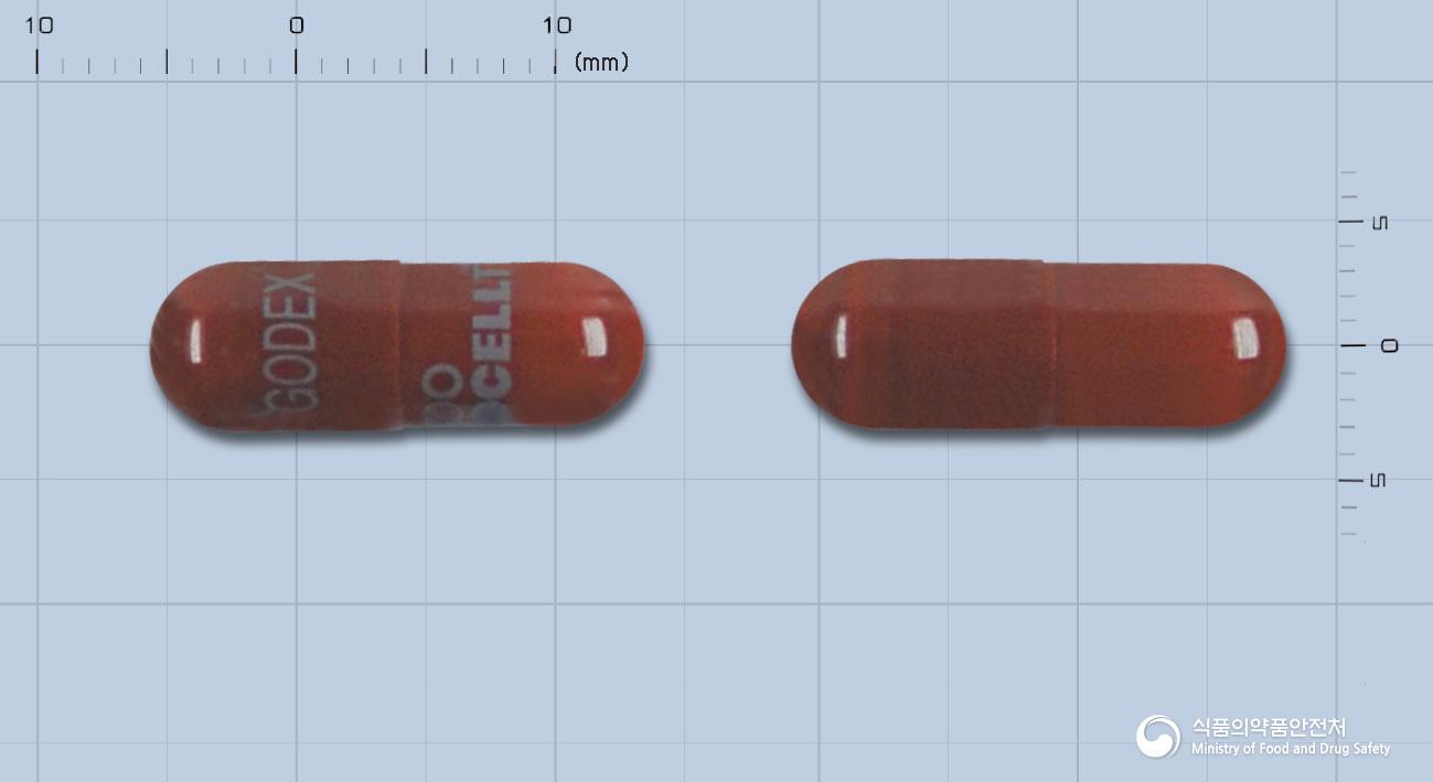 고덱스캡슐