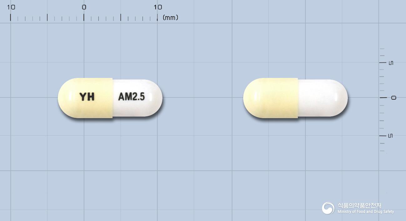 암로핀캡슐2.5밀리그램(암로디핀말레산염)
