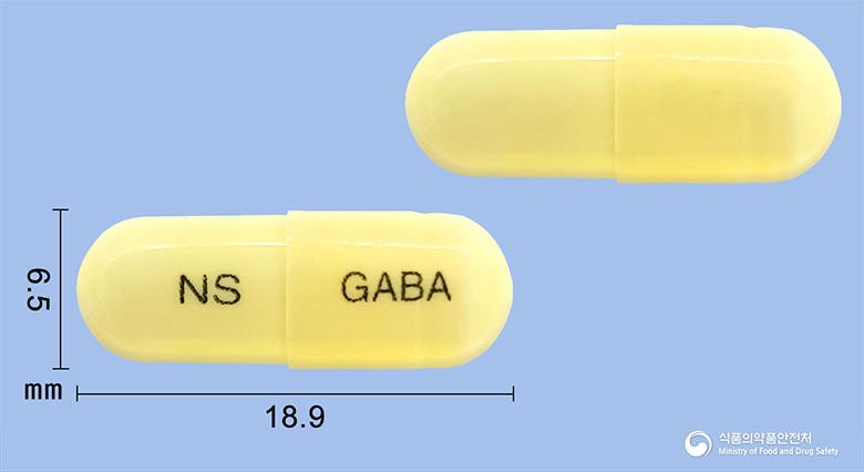 넬슨가바펜틴캡슐(가바펜틴)