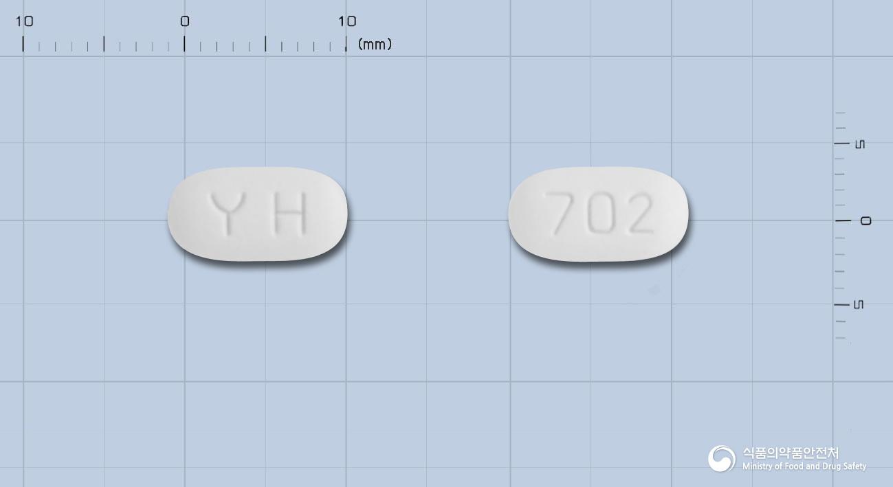 덴시본플러스디정