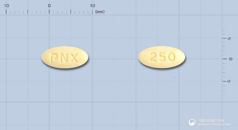 신플랙스세미정(나프록센)(수출용)