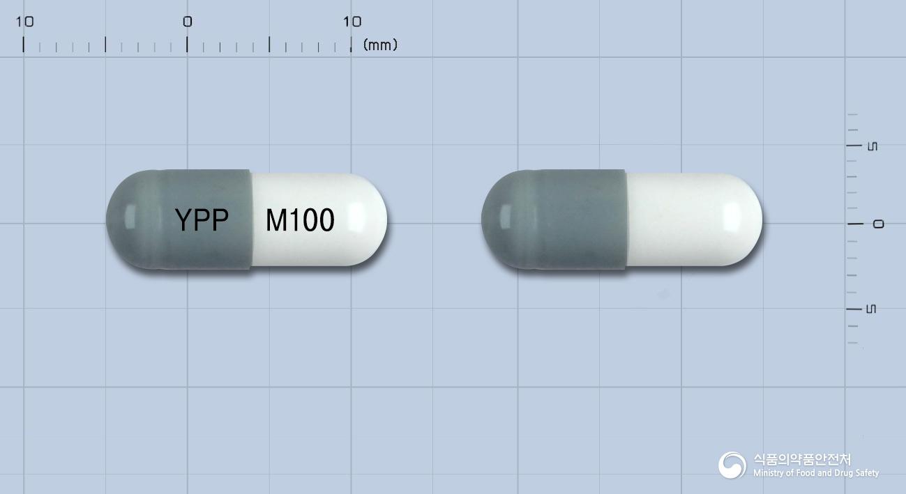 뮤코시린캡슐(아세브로필린)