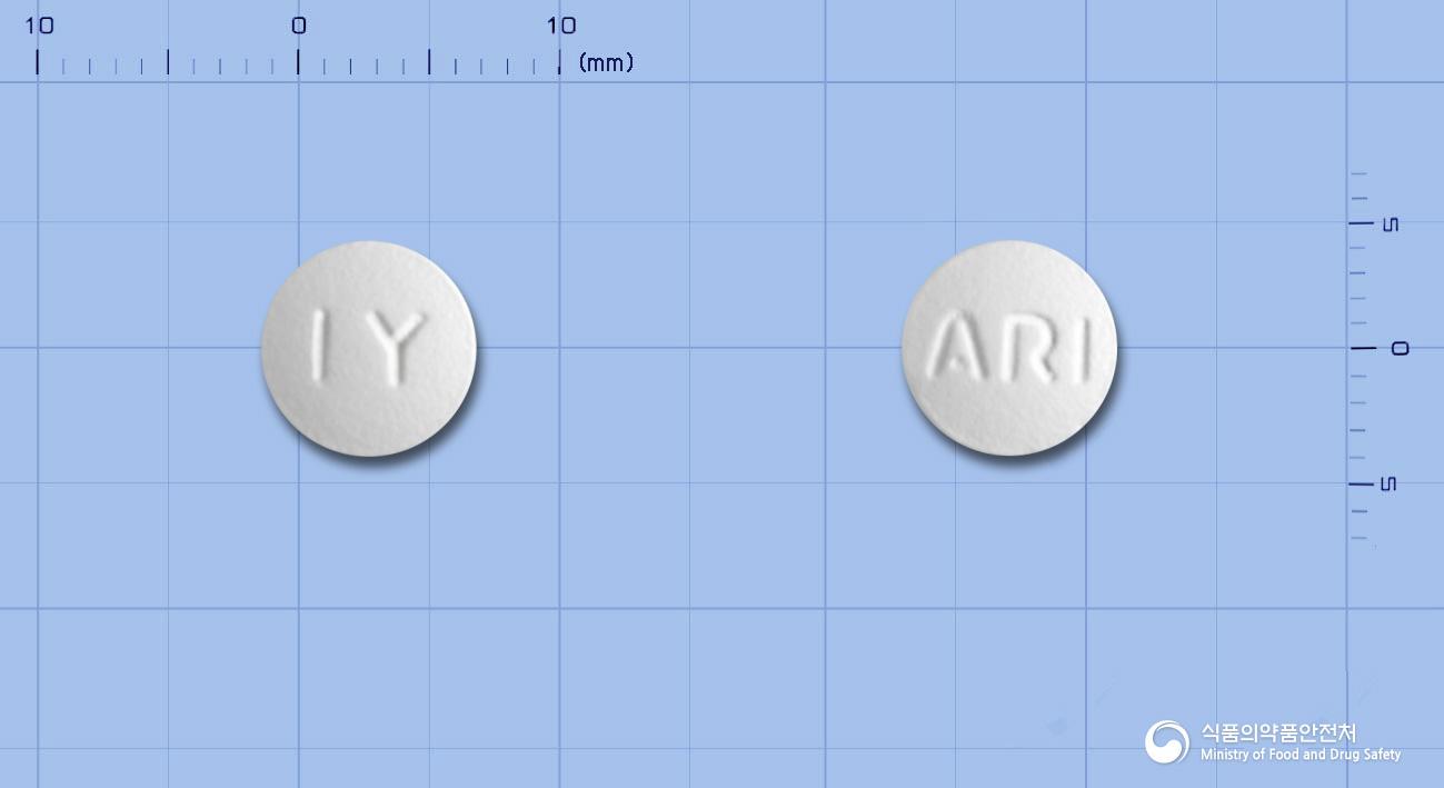 아리탈정(아세클로페낙)