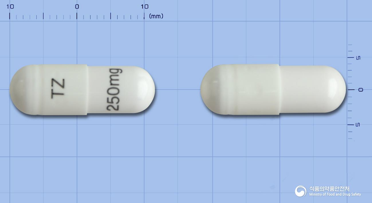 테모람캡슐250밀리그램(테모졸로미드)