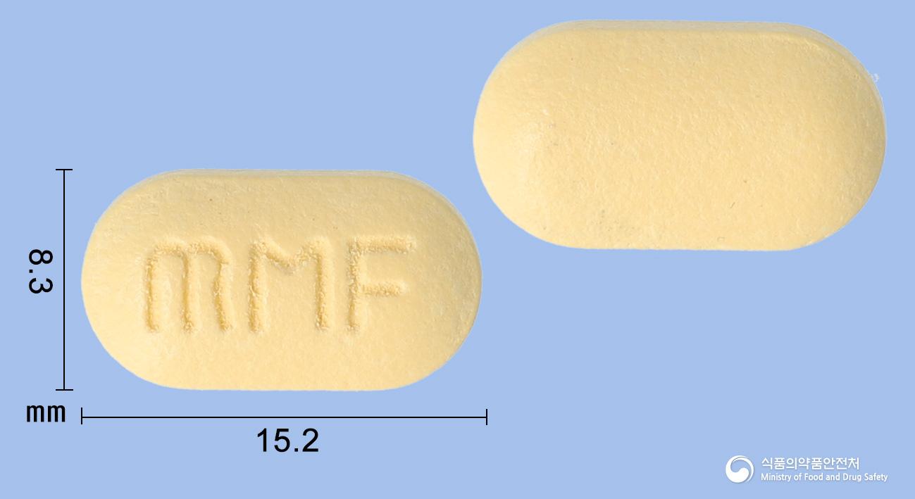 마그스타에프정