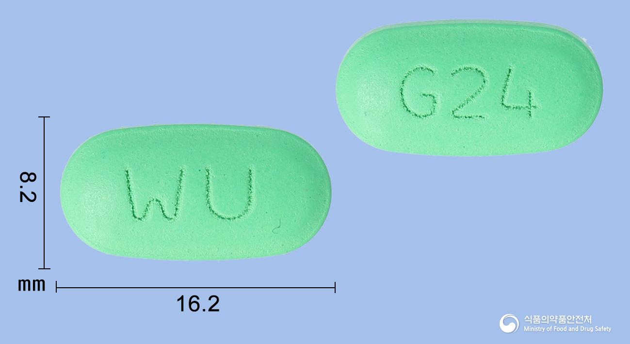 진빌로바정240밀리그램(은행엽건조엑스)