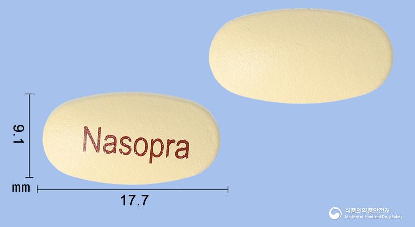 나소프라정500/20밀리그램(나프록센,에스오메프라졸)